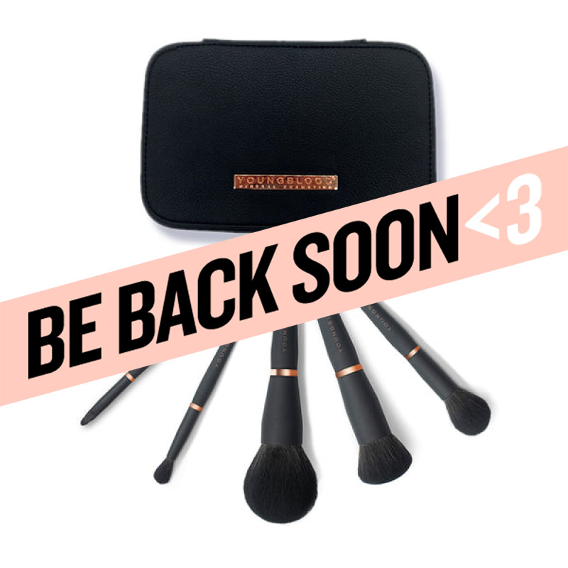youngblood luxe makeup brush kit jet set 5pc