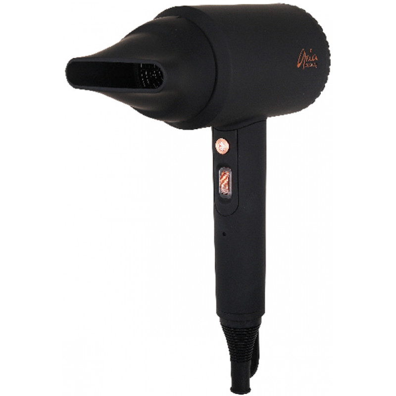 aria lightspeed professional ionic hair dryer
